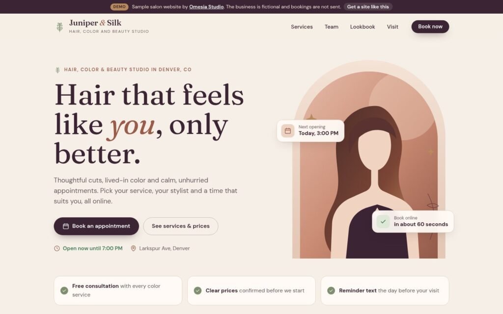 Salon demo desktop website preview
